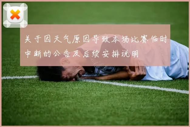 关于因天气原因导致本场比赛临时中断的公告及后续安排说明
